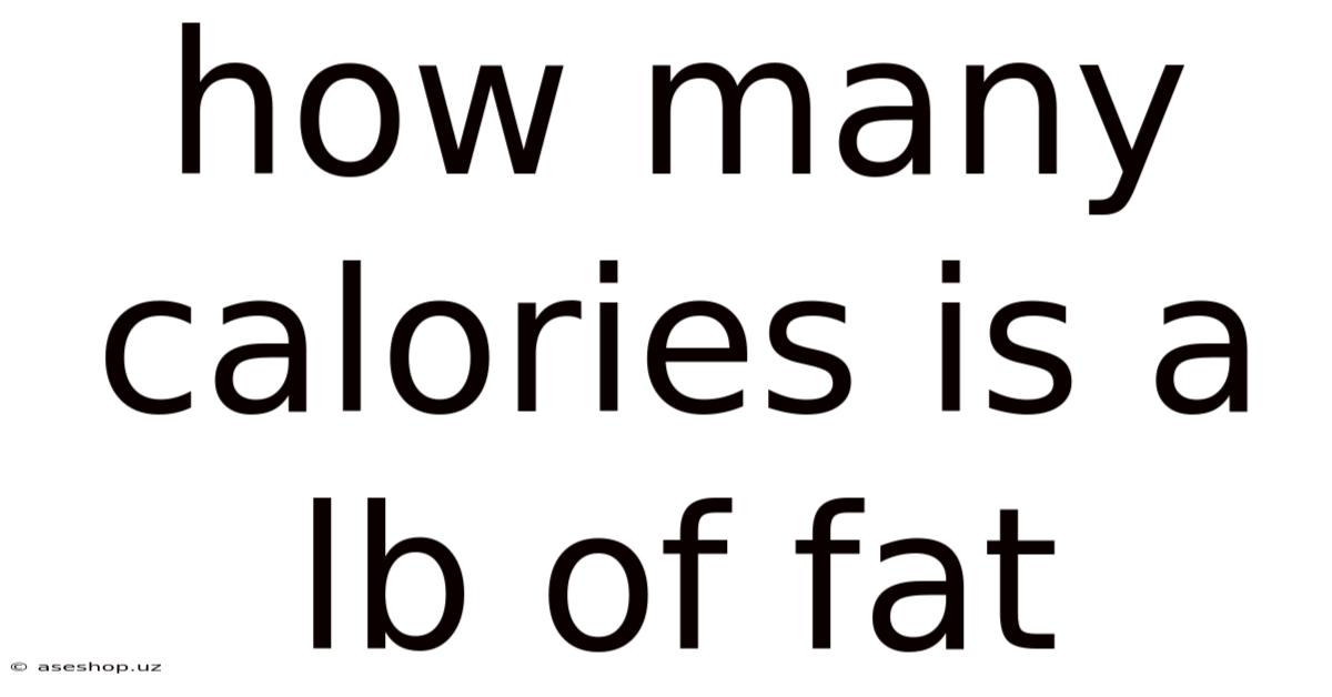 How Many Calories Is A Lb Of Fat