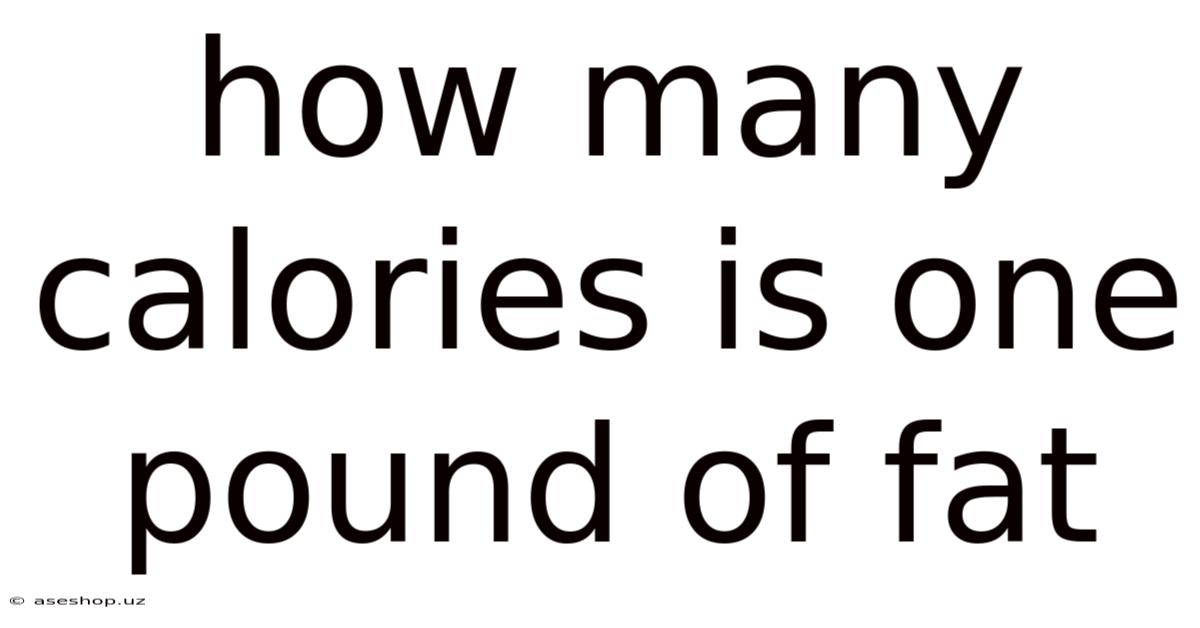 How Many Calories Is One Pound Of Fat