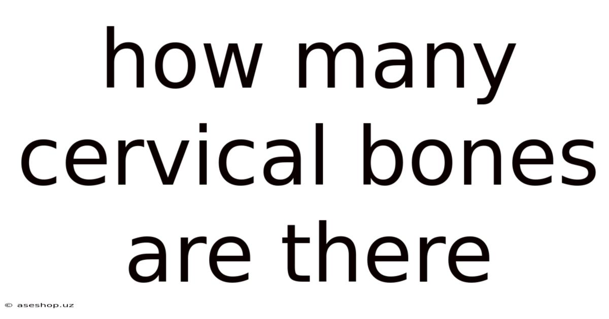 How Many Cervical Bones Are There