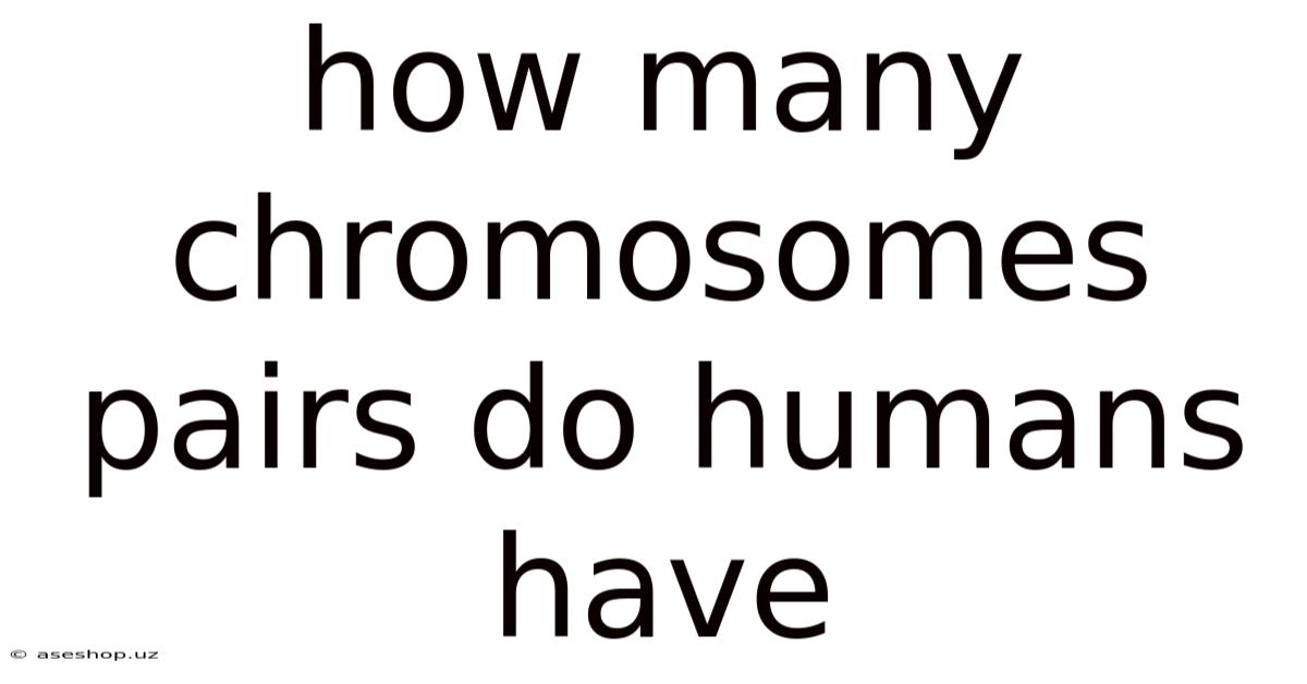 How Many Chromosomes Pairs Do Humans Have