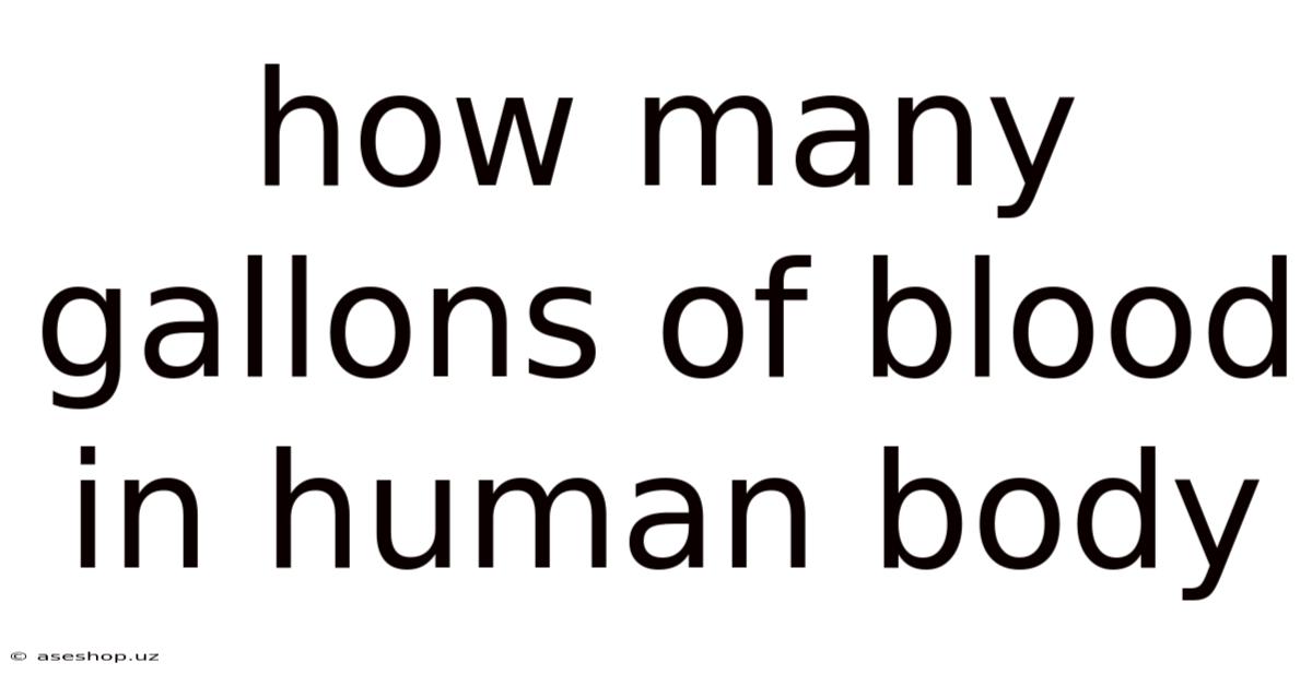 How Many Gallons Of Blood In Human Body
