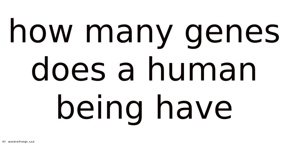 How Many Genes Does A Human Being Have