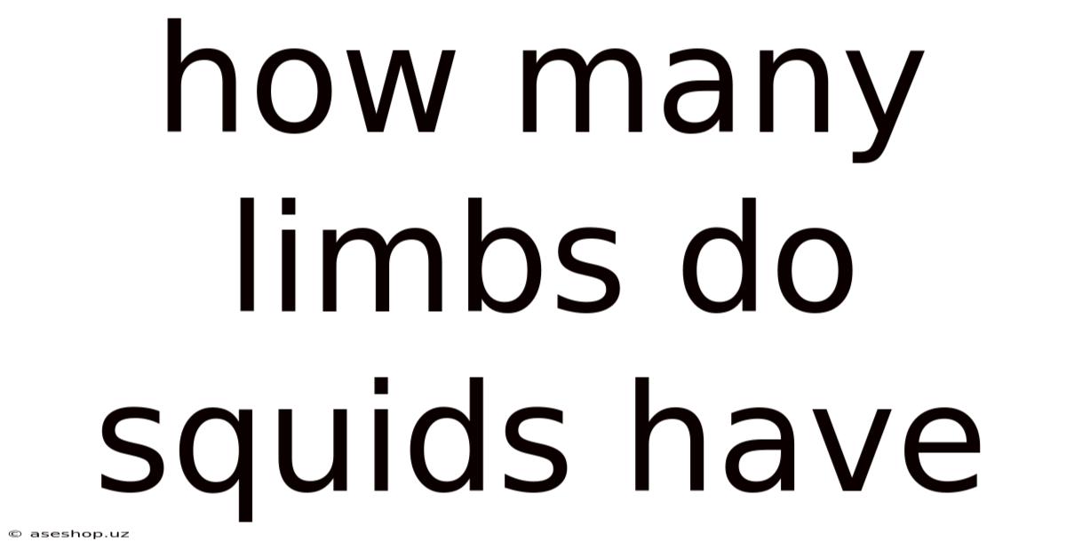 How Many Limbs Do Squids Have