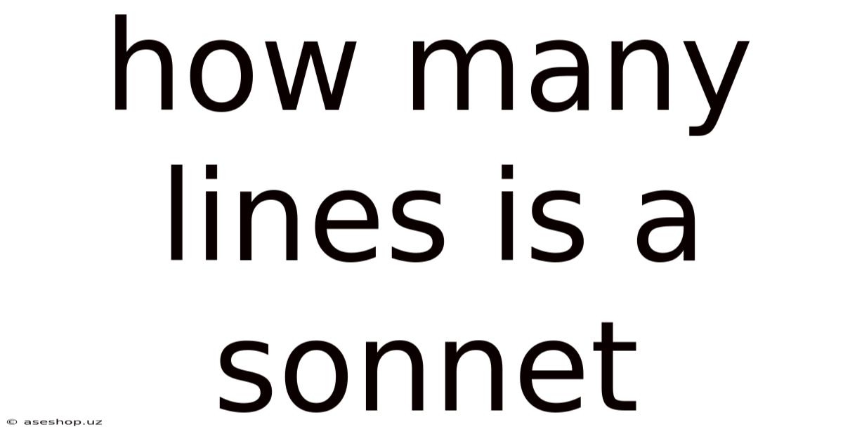 How Many Lines Is A Sonnet