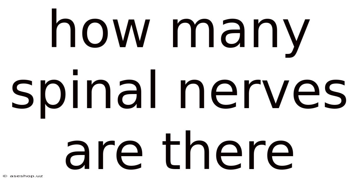 How Many Spinal Nerves Are There