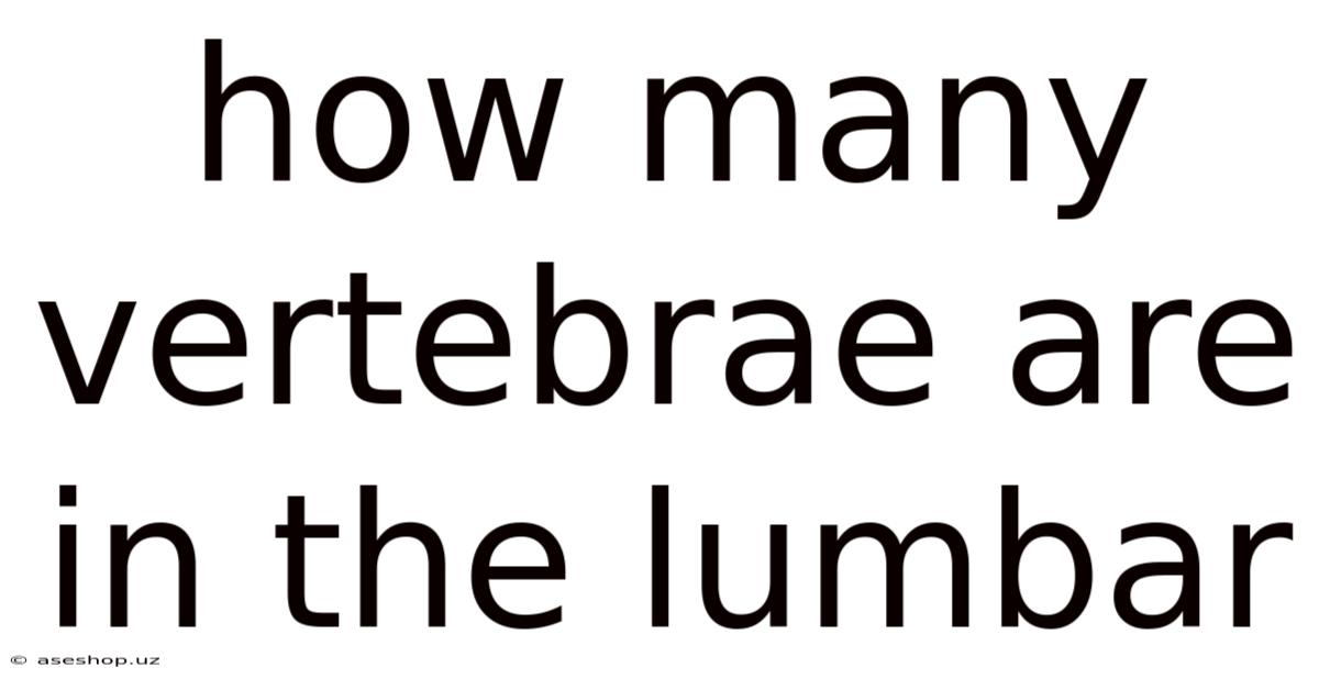 How Many Vertebrae Are In The Lumbar