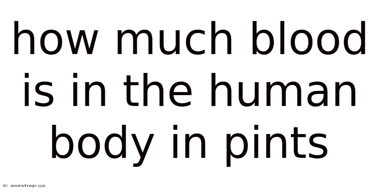 How Much Blood Is In The Human Body In Pints