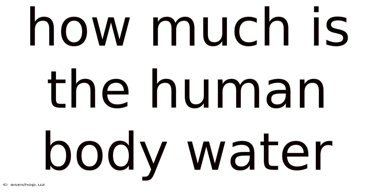 How Much Is The Human Body Water