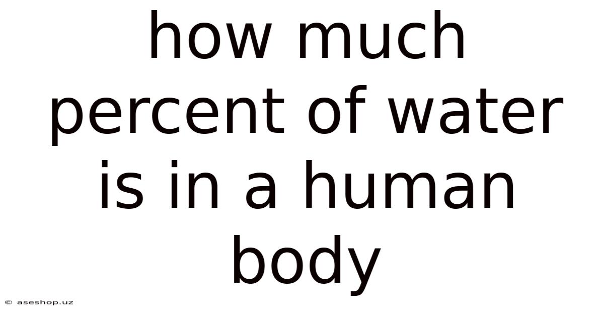 How Much Percent Of Water Is In A Human Body