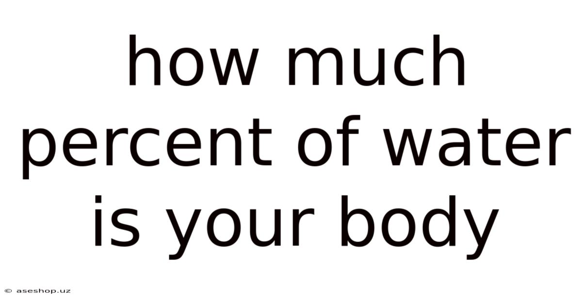 How Much Percent Of Water Is Your Body