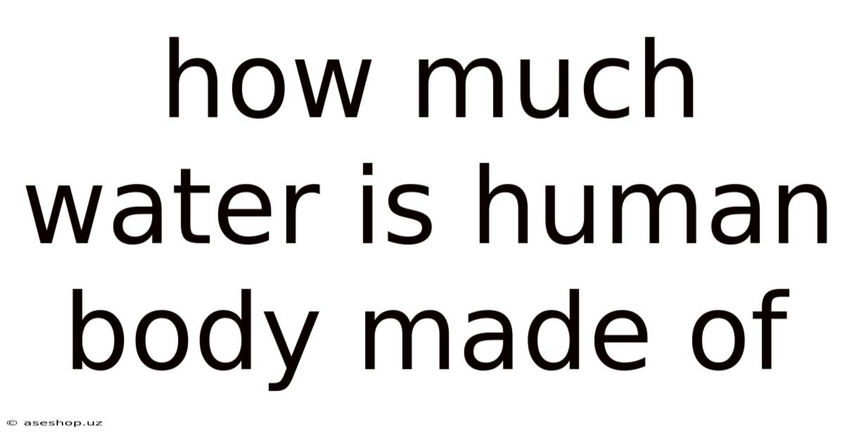 How Much Water Is Human Body Made Of