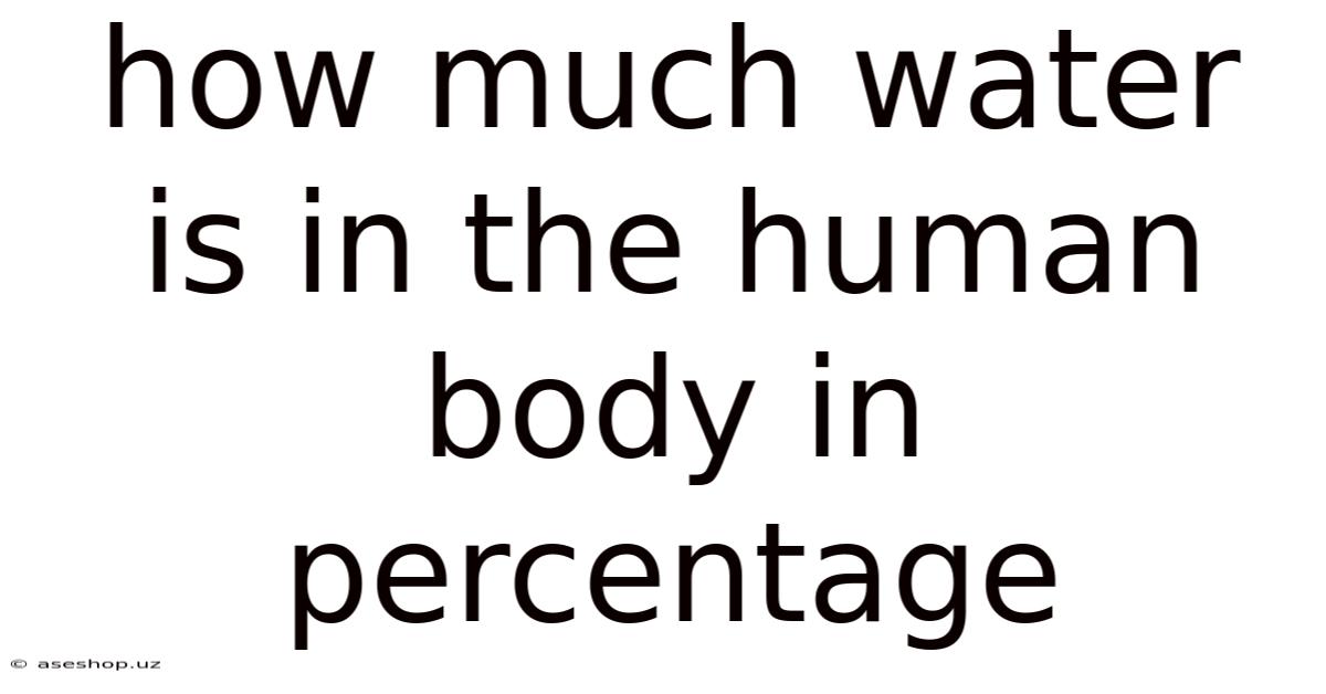 How Much Water Is In The Human Body In Percentage