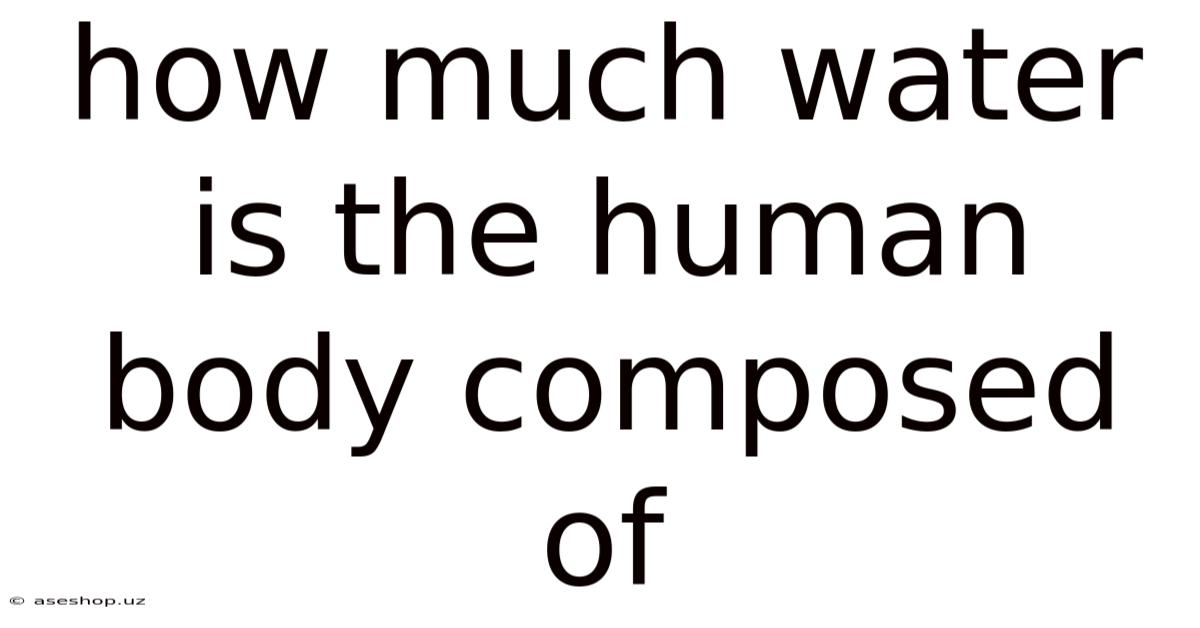 How Much Water Is The Human Body Composed Of