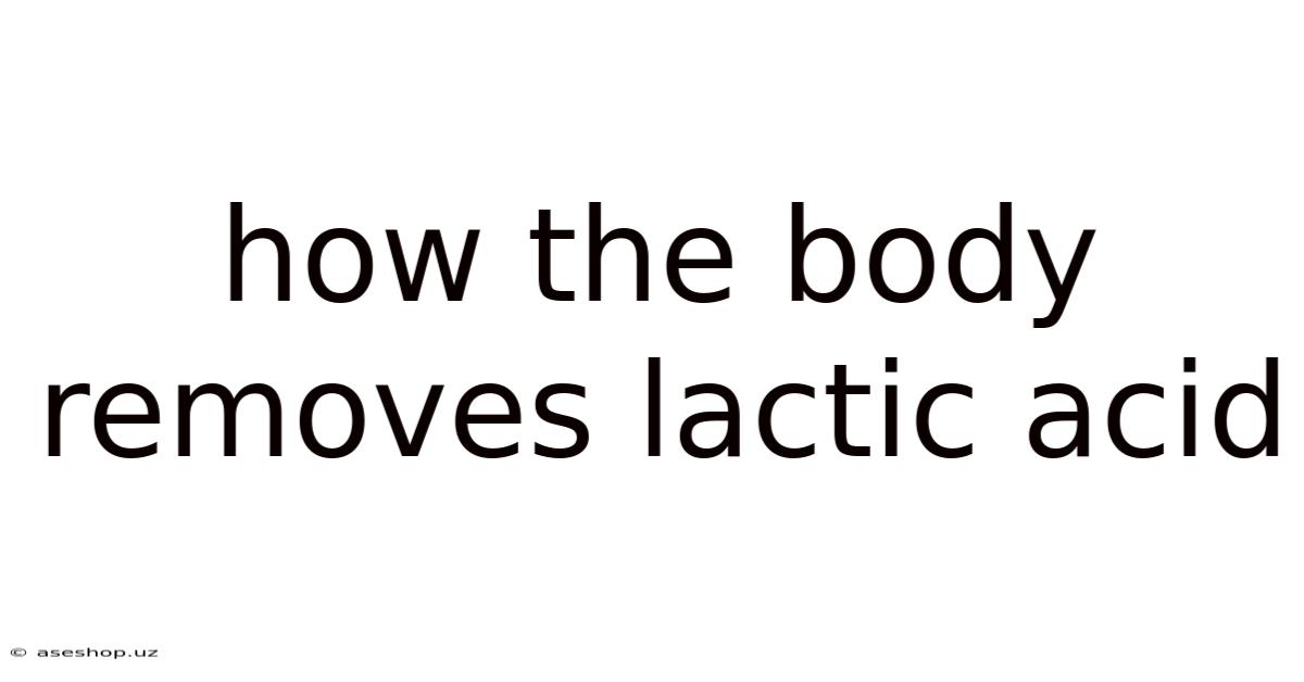 How The Body Removes Lactic Acid