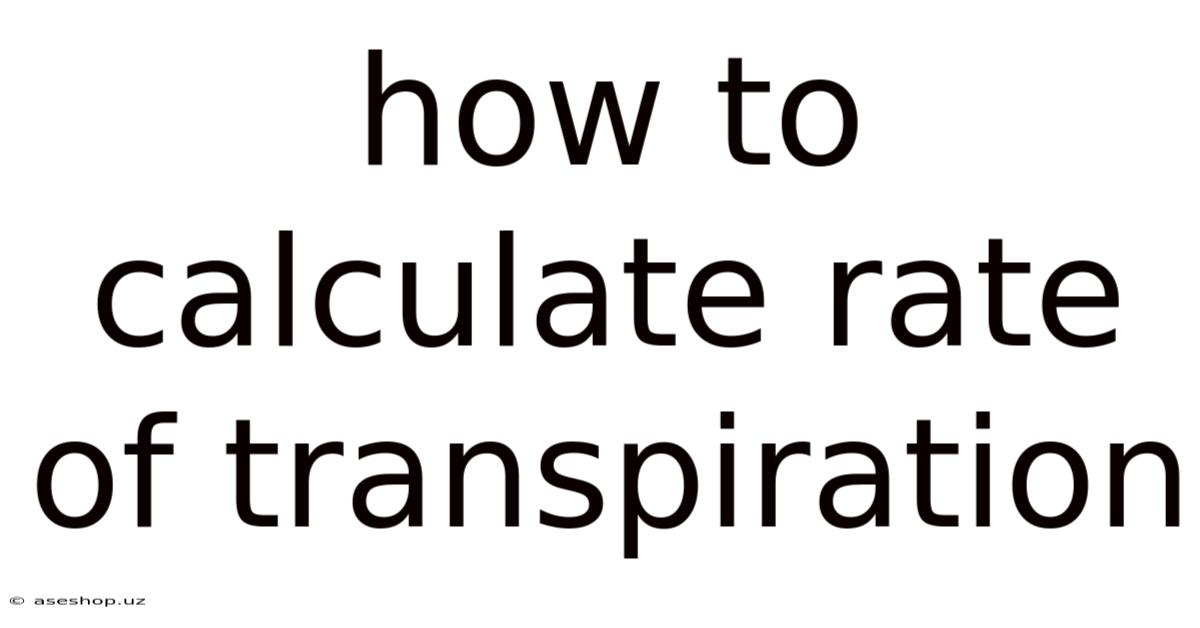 How To Calculate Rate Of Transpiration