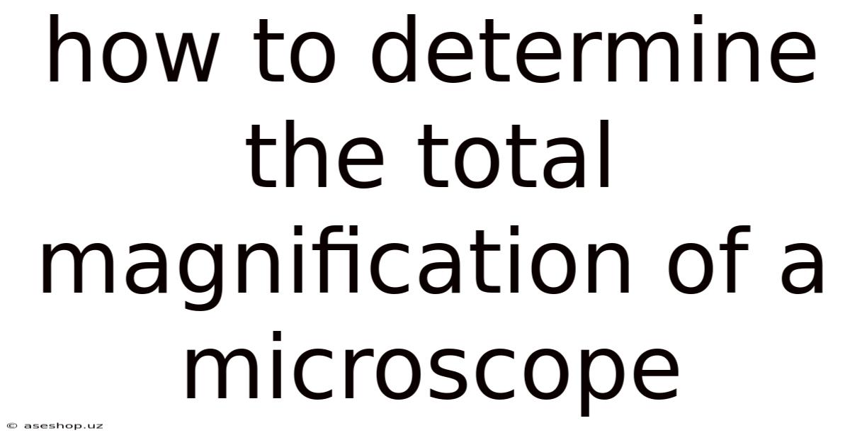 How To Determine The Total Magnification Of A Microscope