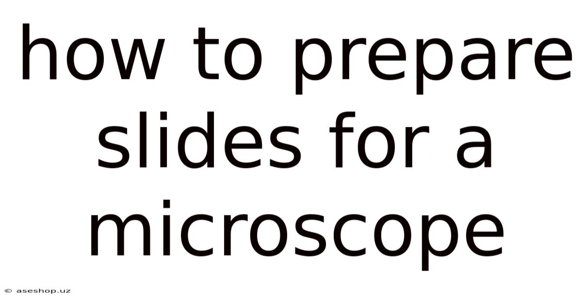 How To Prepare Slides For A Microscope