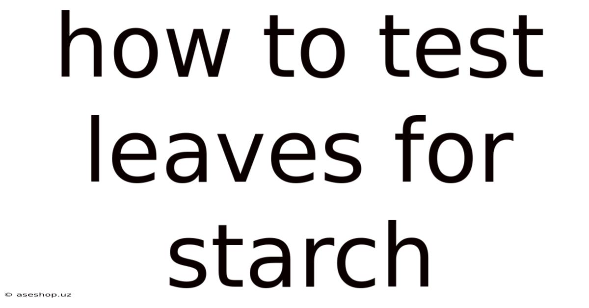 How To Test Leaves For Starch