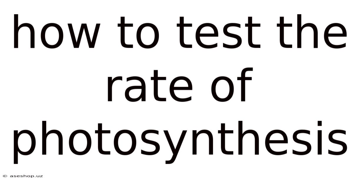 How To Test The Rate Of Photosynthesis