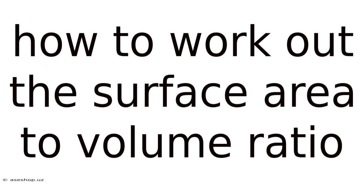 How To Work Out The Surface Area To Volume Ratio