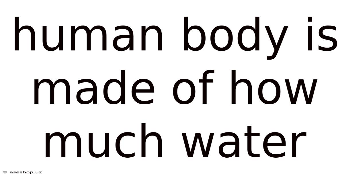 Human Body Is Made Of How Much Water