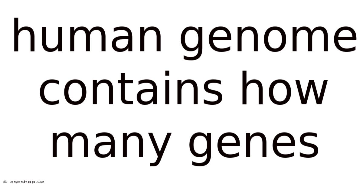 Human Genome Contains How Many Genes