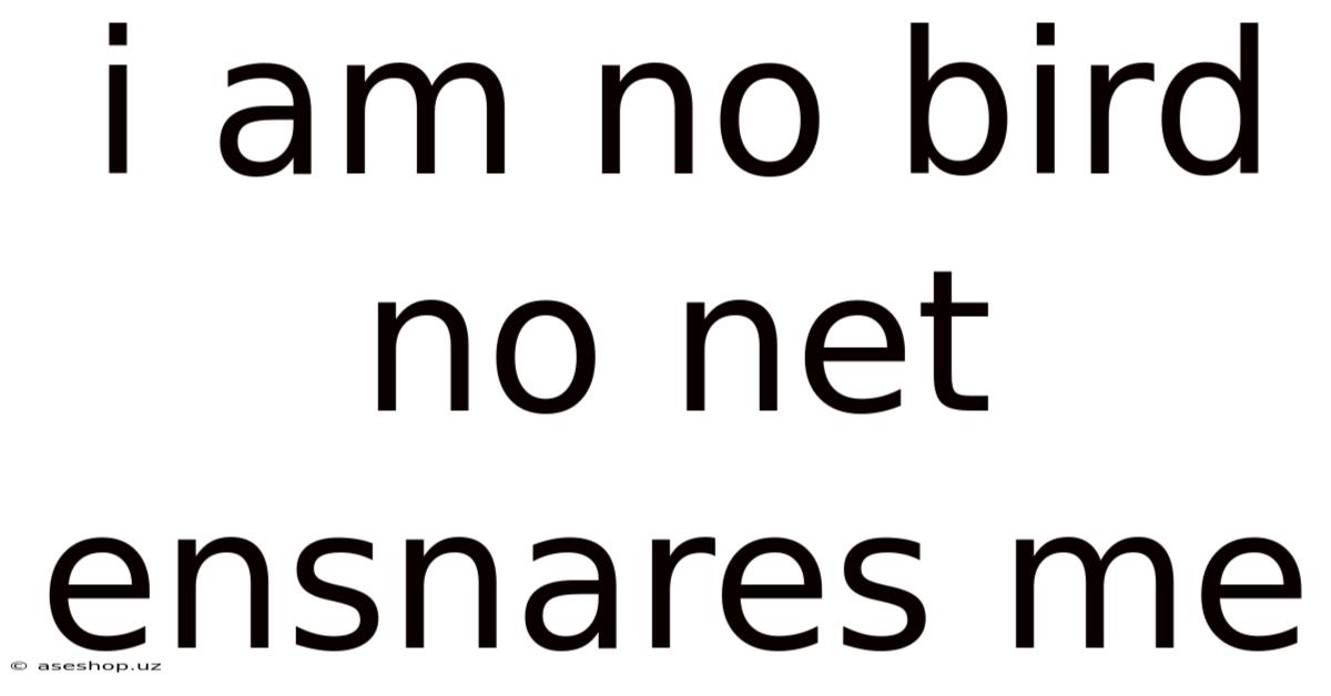 I Am No Bird No Net Ensnares Me