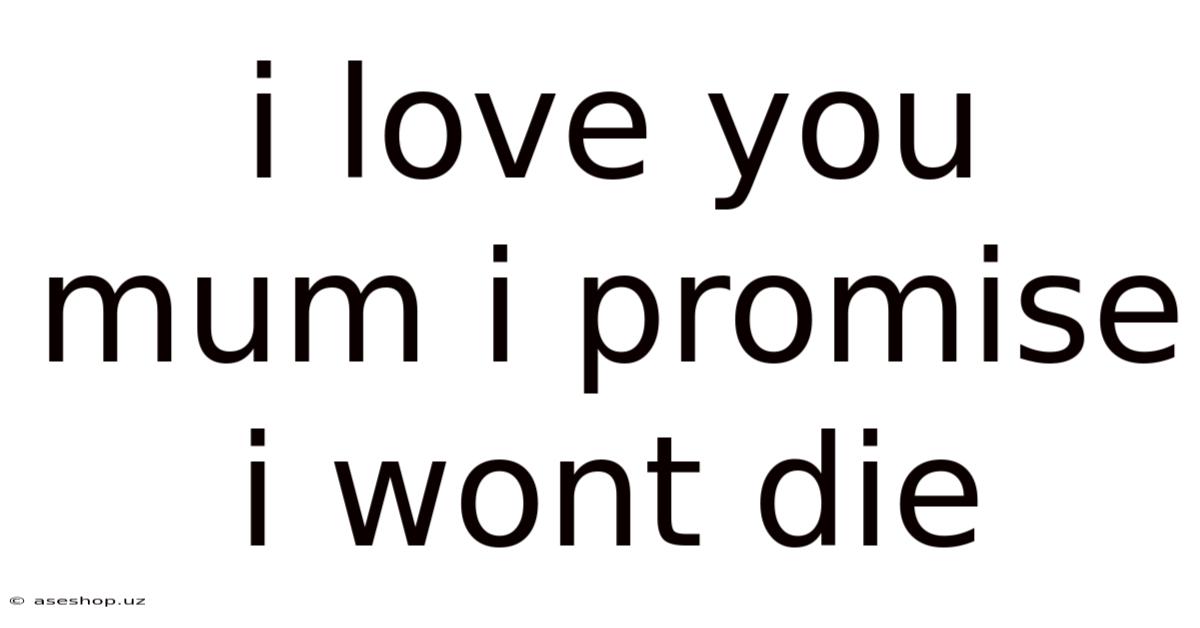 I Love You Mum I Promise I Wont Die