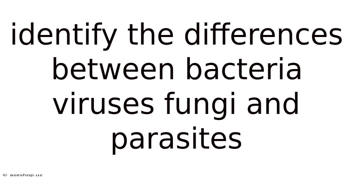 Identify The Differences Between Bacteria Viruses Fungi And Parasites
