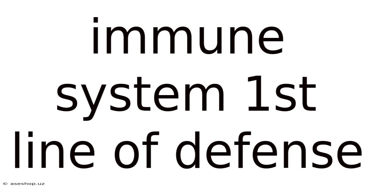 Immune System 1st Line Of Defense