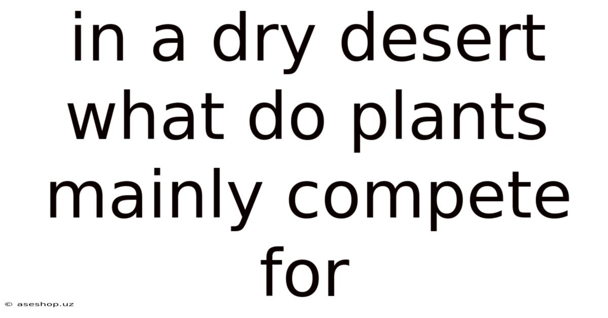 In A Dry Desert What Do Plants Mainly Compete For