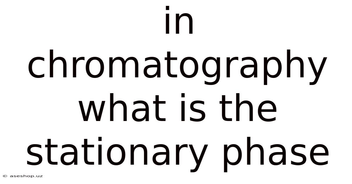 In Chromatography What Is The Stationary Phase