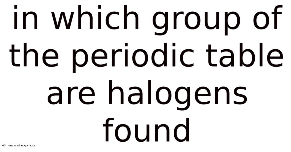 In Which Group Of The Periodic Table Are Halogens Found
