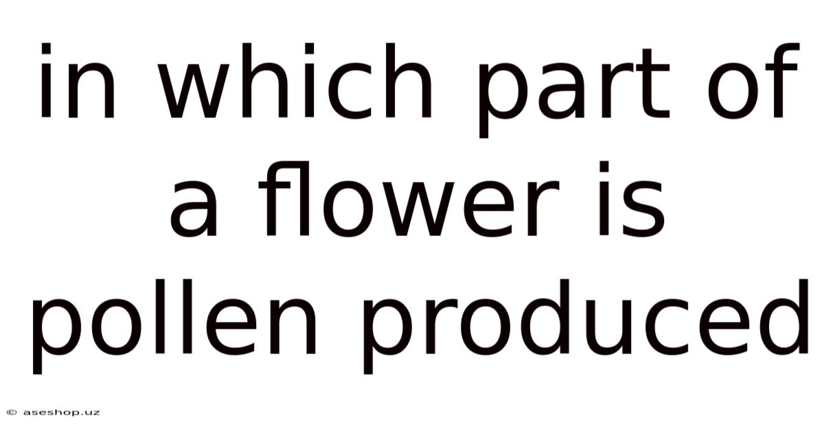 In Which Part Of A Flower Is Pollen Produced