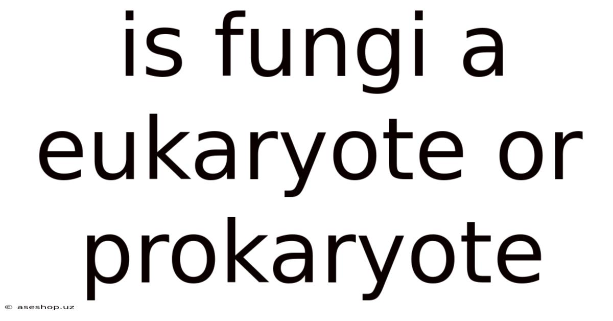 Is Fungi A Eukaryote Or Prokaryote