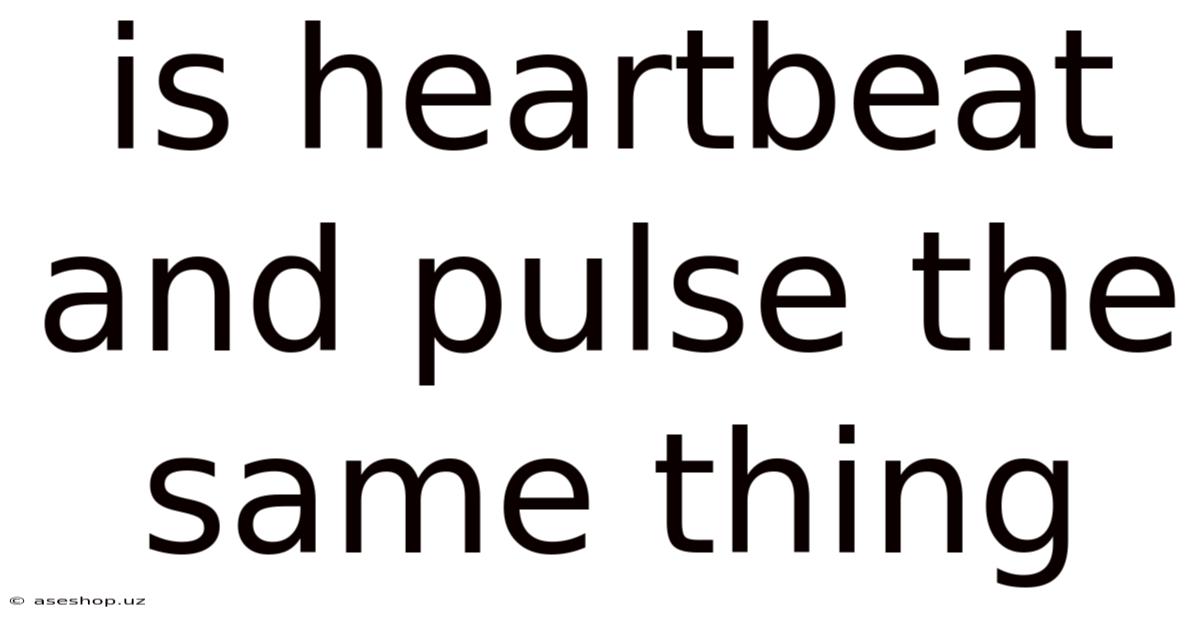 Is Heartbeat And Pulse The Same Thing
