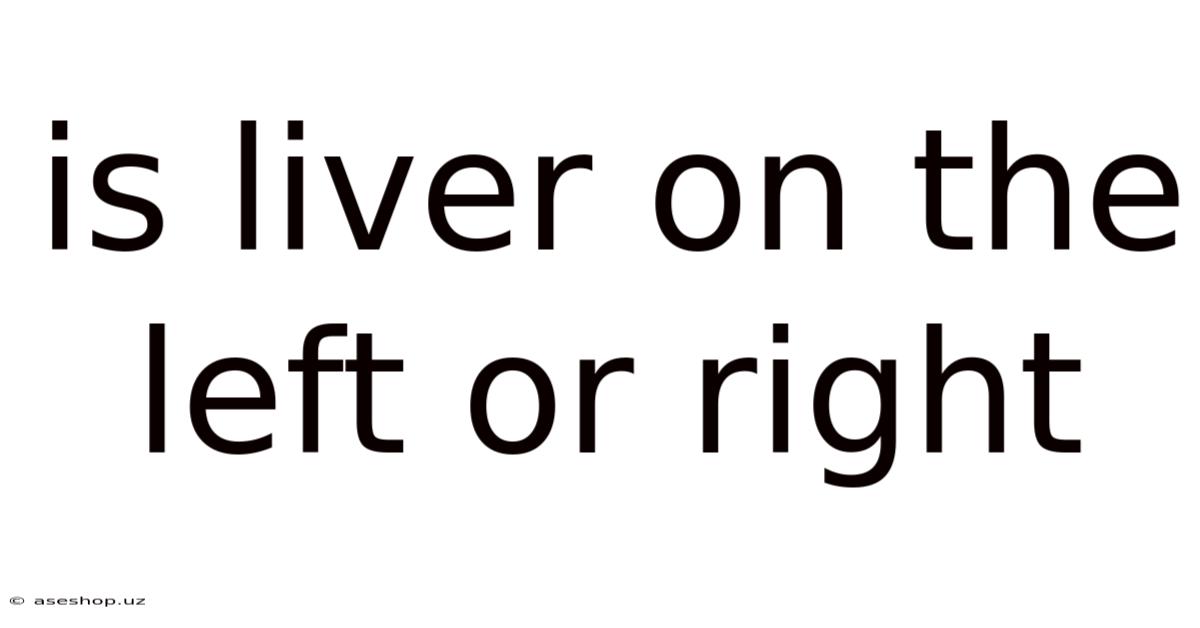 Is Liver On The Left Or Right