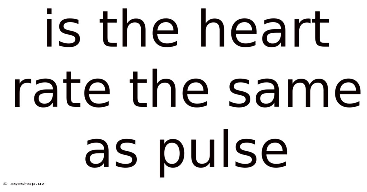 Is The Heart Rate The Same As Pulse