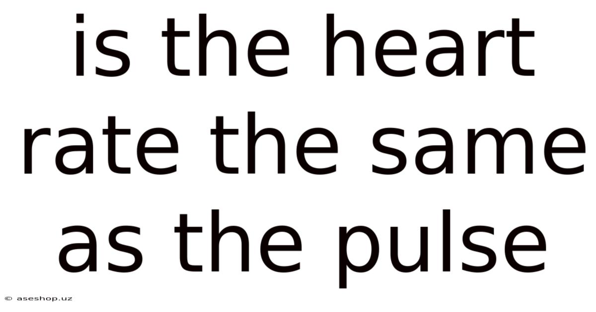 Is The Heart Rate The Same As The Pulse