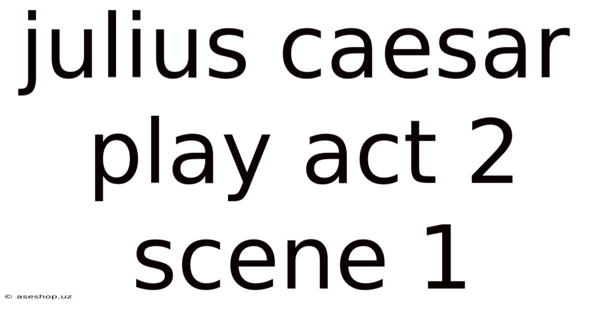 Julius Caesar Play Act 2 Scene 1