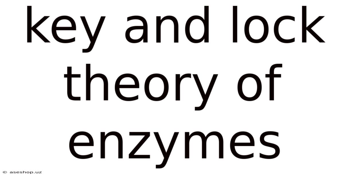 Key And Lock Theory Of Enzymes