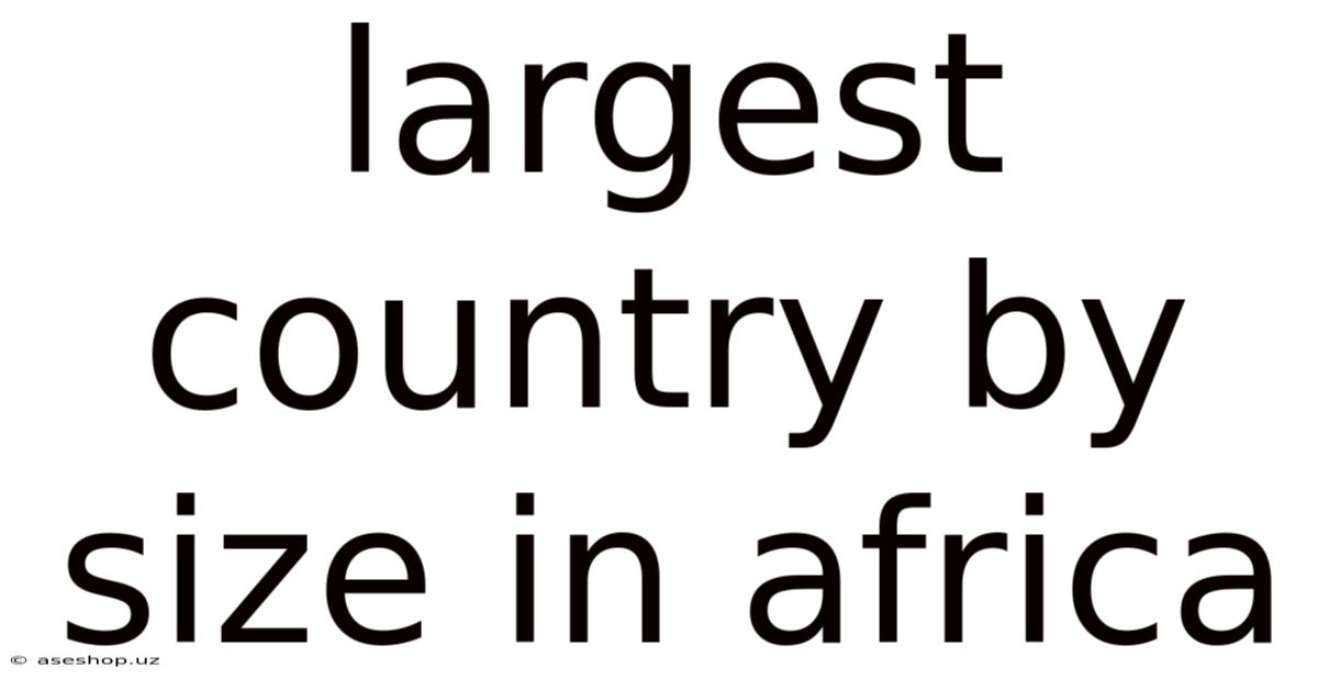 Largest Country By Size In Africa