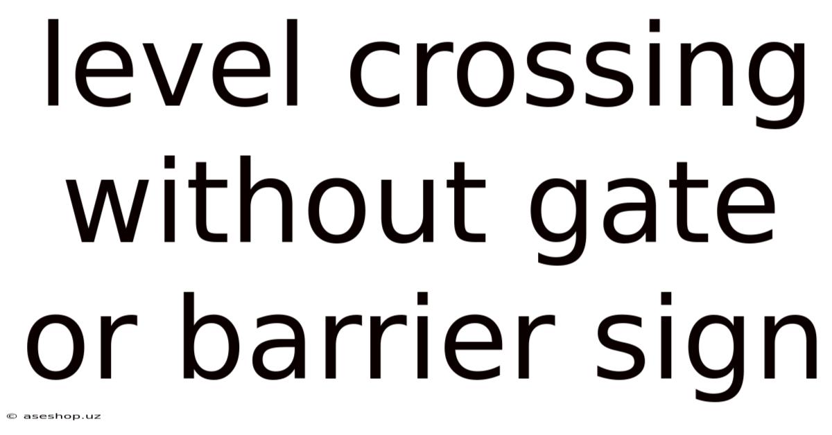 Level Crossing Without Gate Or Barrier Sign