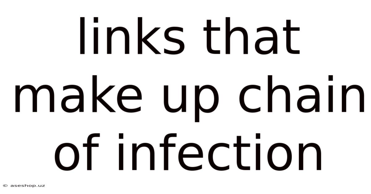 Links That Make Up Chain Of Infection