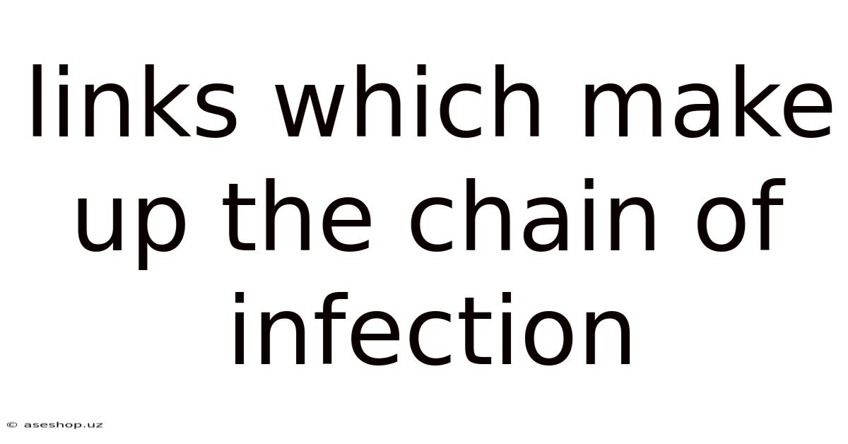 Links Which Make Up The Chain Of Infection