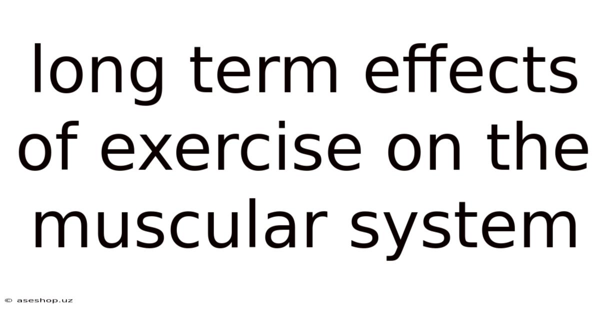 Long Term Effects Of Exercise On The Muscular System