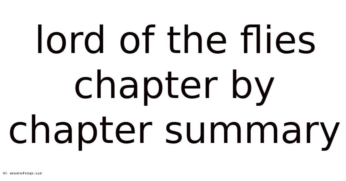 Lord Of The Flies Chapter By Chapter Summary
