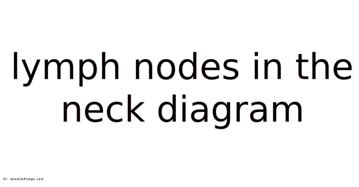 Lymph Nodes In The Neck Diagram