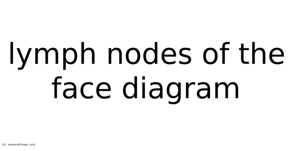 Lymph Nodes Of The Face Diagram