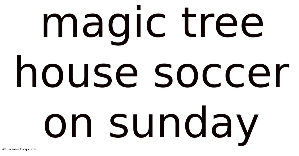 Magic Tree House Soccer On Sunday
